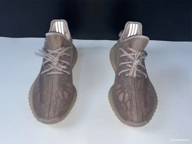 V2 350 Yeezy Boost Mist Adidas Mono GW2871 0503